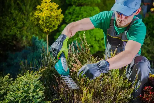 landscaping services Saugatuck